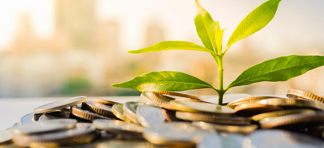 Our Values and Vision